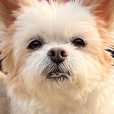 Cozi6lab's profile picture. Fall in Love with my LIFE.