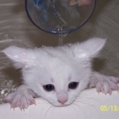 Ab3lHappy's profile picture. 21 chile 🇨🇱