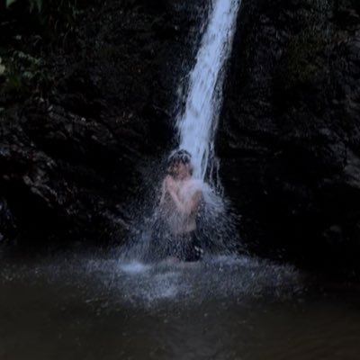 tonbo_gogo's profile picture. 