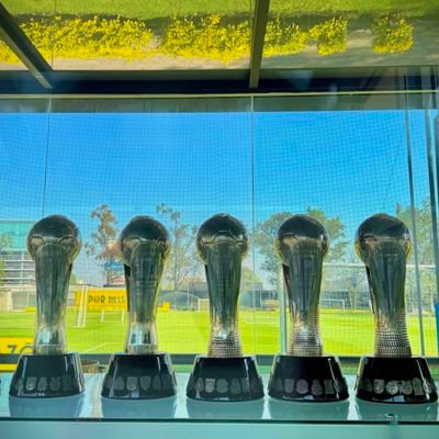 RobertoZav64612's profile picture. pues el récord que tú rompes es de liga nacional