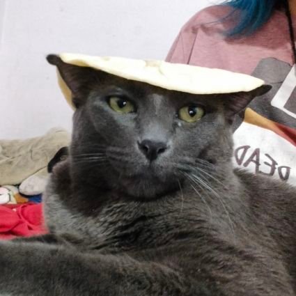 AidenFC_Freak_'s profile picture. 25 🇲🇽
AO3=AidenFeliCane
🍖🌈-🎱🎀-🍯 🧸-Pacifist-Mexican-Boypussy writer-VS Ships: 🦉 🐈//🐻 🐈//🪓🐈//🐻‍❄🐈
He/She (Gender fluid)