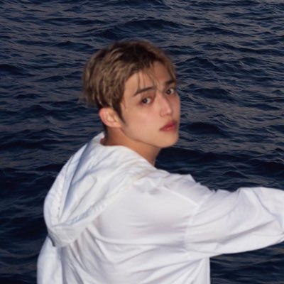 zscoupslvr's profile picture. how do I make this about choi seungcheol?