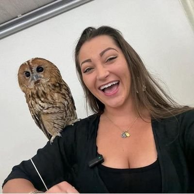 PChinaza65630's profile picture. 