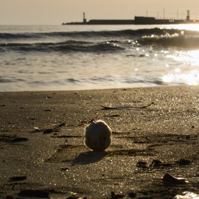 komiruta's profile picture. 