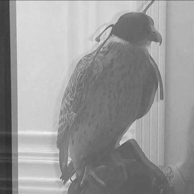 uiir96's profile picture. يا من يظن أنني بدونه حُطامُ رفقاً بذاتك ياعدم