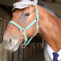 Neighsayer3's profile picture. guy who draws cute girls