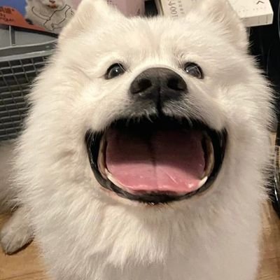 thisismyvieww's profile picture. 