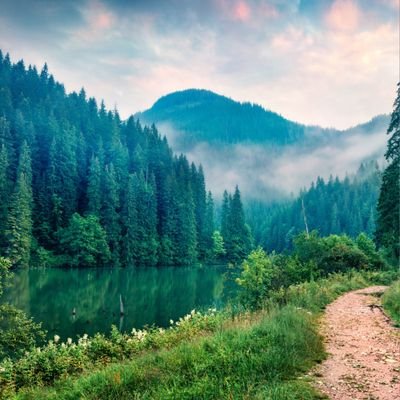 GorgeousNature7's profile picture. 