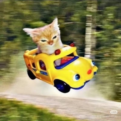 lijiru482985's profile picture. 