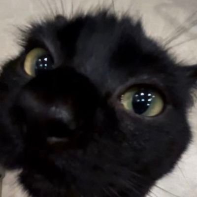 zhstdwt's profile picture. A Year at Saturn