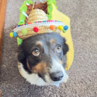 coronel1720's profile picture. Sensational.