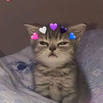 Captain_OSB's profile picture. ☆ Autistic and ADHD ☆ 26 years old ☆ Any Pronouns • Qualquer Pronomes ☆ Dou RT em coisas NSFW as vezes ☆