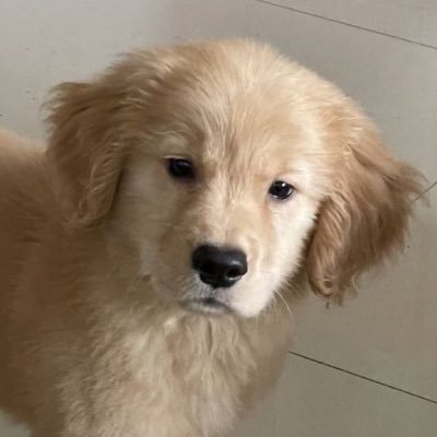 chakrkjfsk's profile picture. 