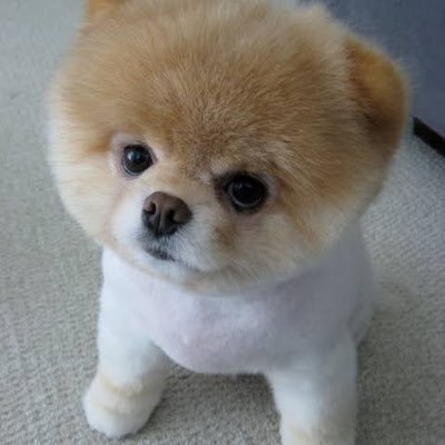 CoryGill15478's profile picture. 