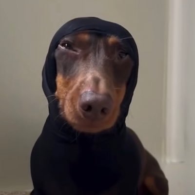 BeakhoJ's profile picture. 생산직 근로자, 채무 200k KRW / Production workers, debt 200k KRW