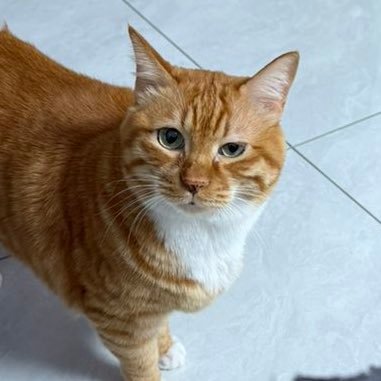 NANA_UAN's profile picture. 日常推啥都发/大龄游戏宅女/LOL/瓦/是的我是二次元/偶尔cos/退役lo娘/Switch/brat/看不惯可以取关屏蔽隐藏/无门槛不接推广