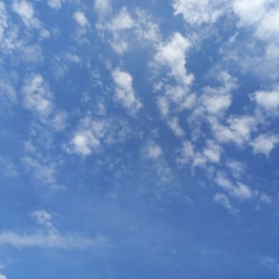 Njs4646's profile picture. Do everything in life, but don't stop investing.