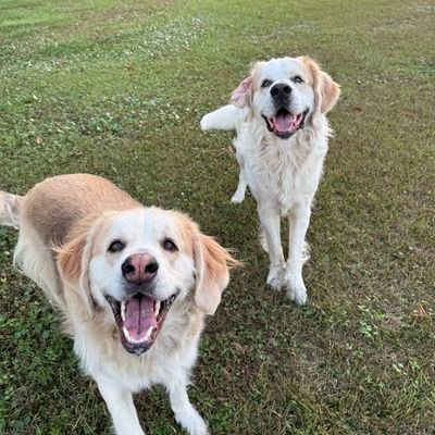 underwoodf3261's profile picture. I'm a truthful and honest man who wants the greatness of every human living on earth 🌎🌎🌍