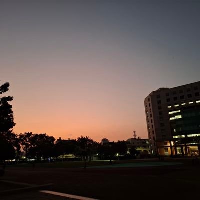 xiangzi_0718's profile picture. 