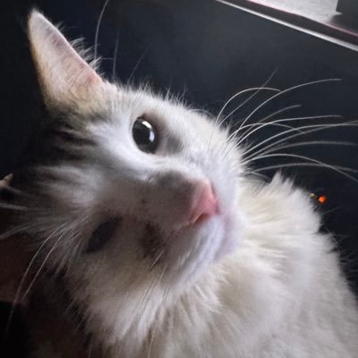 WXWill478119's profile picture. 16 | Hip Hop Head | NJ Weather Geek | Wannabe Pro Bowler | Pan