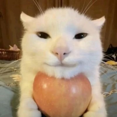 RiverArt__'s profile picture. crk/crob artist • minor • I draw a good bit of artistic nudity • CEO of frostcacao • problematic = DNI • priv : @freakaoianasdom (moots only)