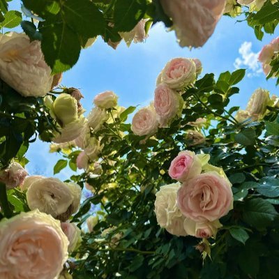 qmtrdmn's profile picture. 投資の道では精確で果敢に進み、旅行では心を解放します。イタリアのフィレンツェでは芸術と美の永遠を感じました。