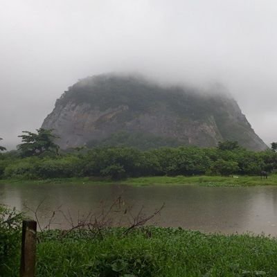 gardeniaAzu190's profile picture. 