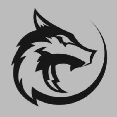 Eymenbektas61's profile picture. CS player @graywolfgg