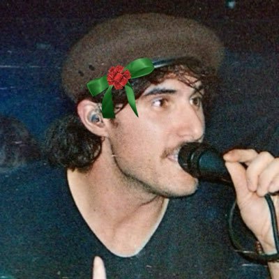 enviousirises's profile picture. #1 hayley williams bob & baby bang defender. 🐝