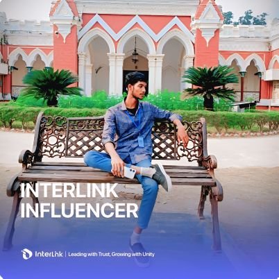 Robinvloge's profile picture. Official Ambassador of InterLink Labs, InterLink ID:01313871