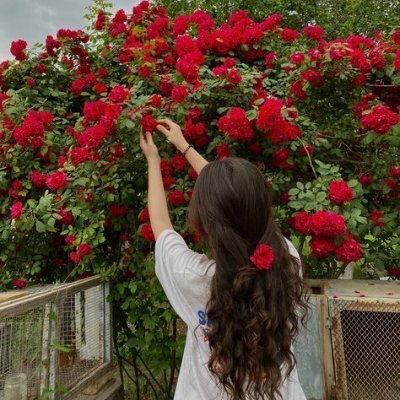 yapperriya's profile picture. Web3 | Crypto | DeFi | Onchain Innovation 💡