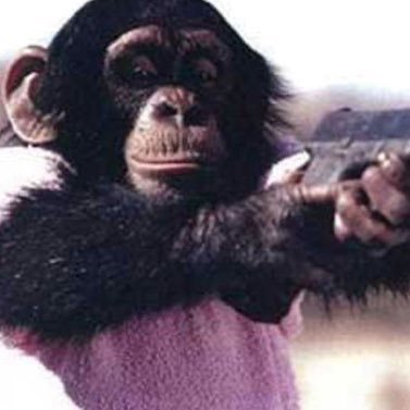 LordFiro's profile picture. Pure Blood Pilot born in the last century with unvaccinated sperm Trading 💩 coins to stack more $FIRO