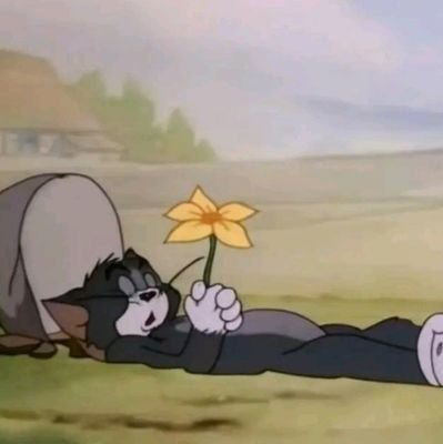 BlueWhaleEren's profile picture. |Rendianphobic| Anti Nationalist | Anti traditionalist | Anti liberalist | Anti Feminist |
| Marriedtoloml |🧸|