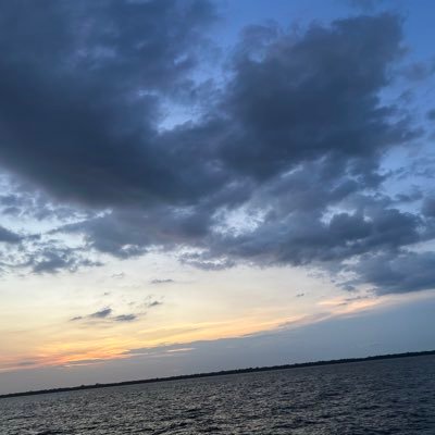 CronicamntOn's profile picture. 🌻🐼 🌖🌔