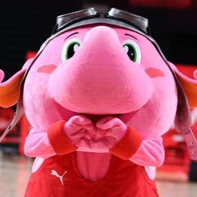 Jumbokun_GOJETS's profile picture. Bリーグ 千葉ジェッツふなばし 公式マスコットキャラクター「ジャンボくん」/ Bリーグマスコット総選挙３連覇👑👑👑(殿堂入り経験アリ）世界一のゾウさんを目指し中🏆/ インスタやLINEもやってます📱/ 5歳児(象)なので夜10時には寝ちゃいます🐘💤お菓子大好き🍫🍭🍩