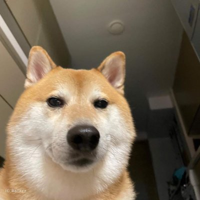 kentyfn_'s profile picture. Player for ?
love so much @feyfn7 @nykon15 @scoutfnr 
b.e: @IdziU97