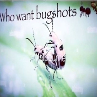 cryamise's profile picture. here 2 gewn 😼 all pronouns 19. — mostly the pitt, i post bots on https://t.co/aa2nPy34QC