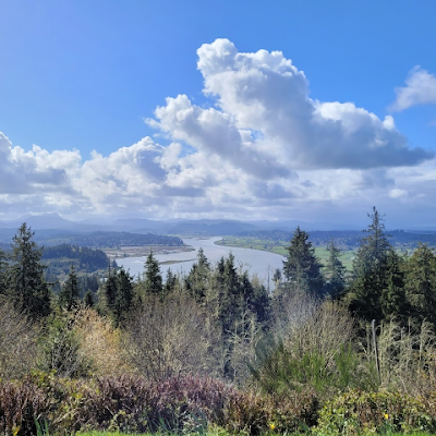 kmlee583's profile picture. 