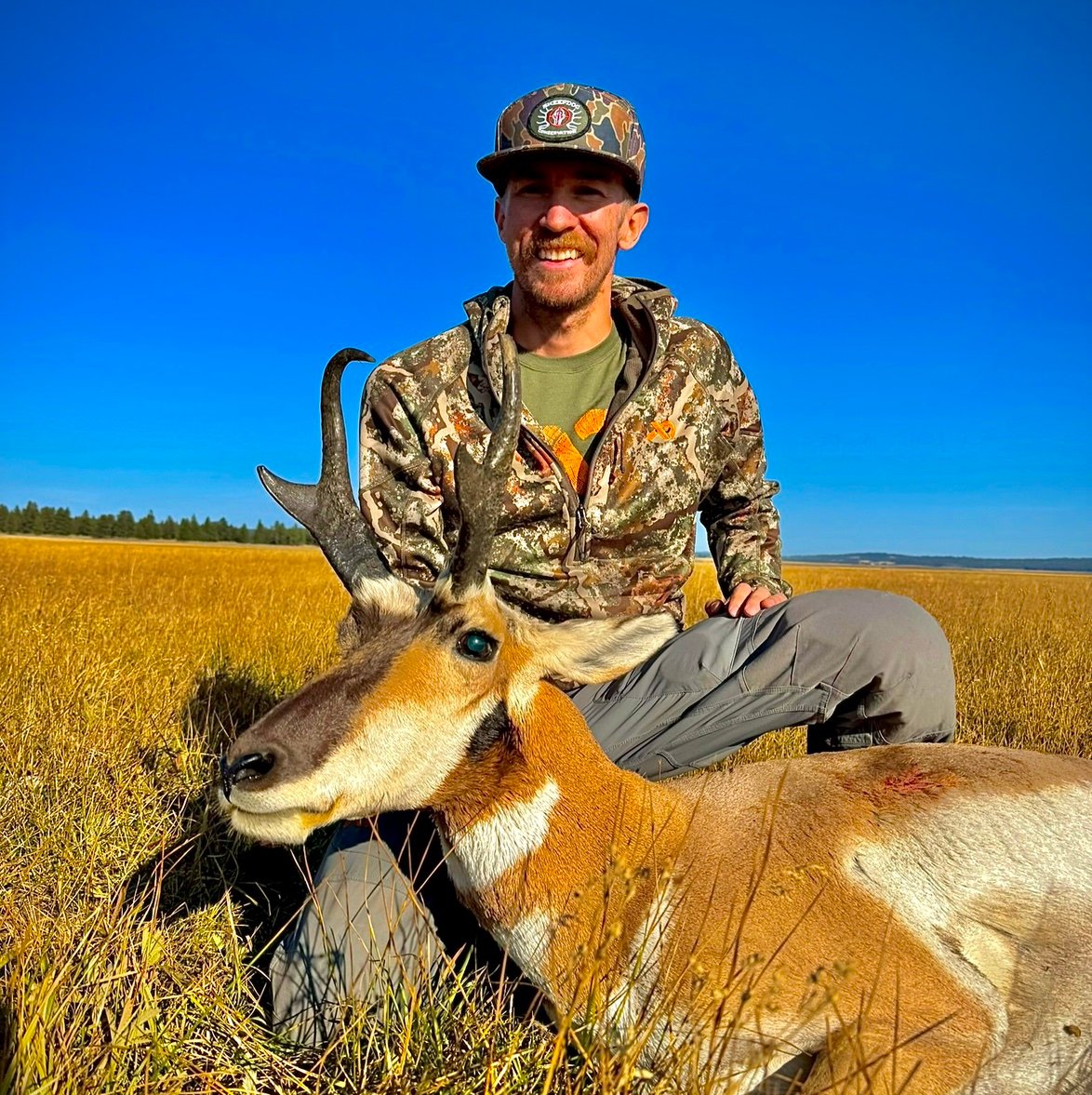 DecentralHntr17's profile picture. 