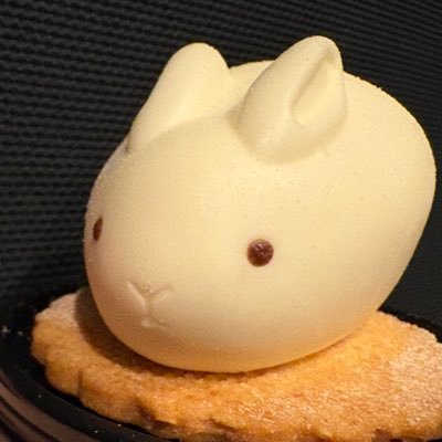 wasd_q4's profile picture. INTJ💭