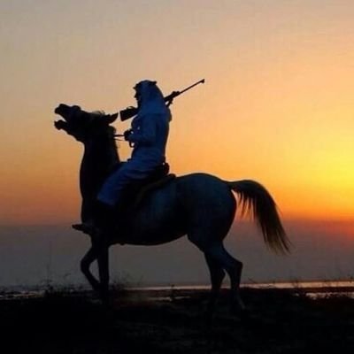 salmALMALK_'s profile picture. ربما الوطن 🇸🇦 ليس ارضأ.بل قلبا ❤️.
F .35.                          
مو مجرد طائرة، هذه منصة سيادة جوية كاملة.