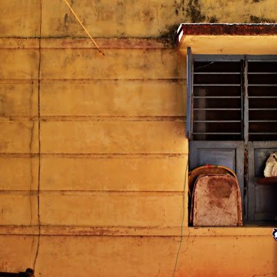 KishenAmir13's profile picture. 