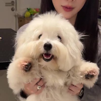 shirasagi826's profile picture. ... . . / -.-- --- ..- / - --- -- --- .-. .-. --- .--