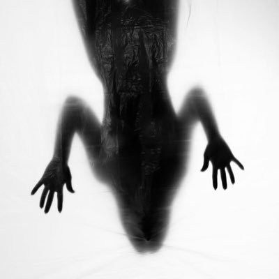 reginasalazarr's profile picture. shitpost melancólico satírico revolucionario