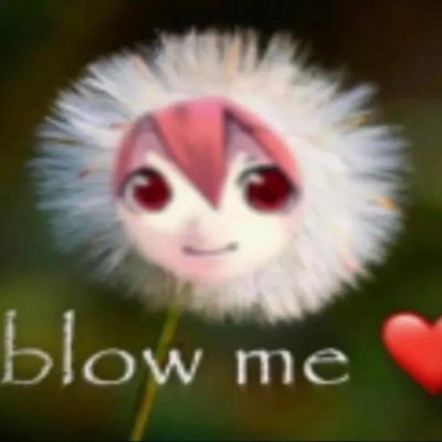 jarpisalt's profile picture. opinionmaxxing joydiscussing | I had an old account I didn’t really use so I made a new one to use more :)