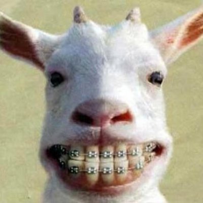 yocto_java's profile picture. プログラミングに関する事をつぶやきます
Javaが好きです
#駆け出しエンジニアと繋がりたい