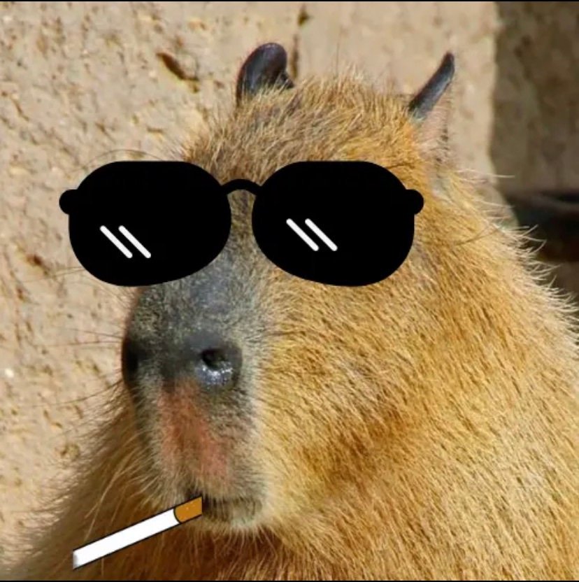 capybaraman1256's profile picture. m’on twich capybaraman 1256