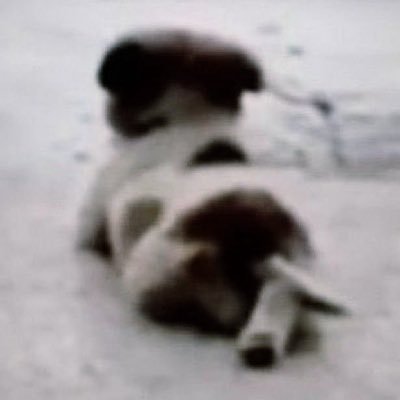 b777tx's profile picture. somewhere