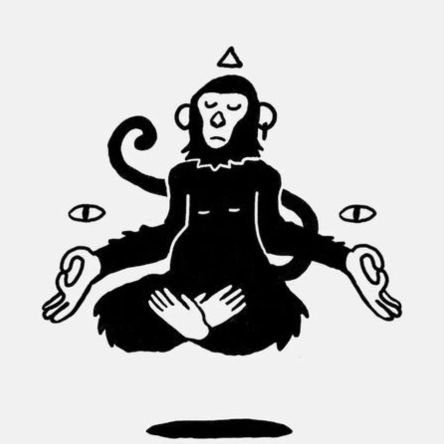 hongoparticular's profile picture. 🍄