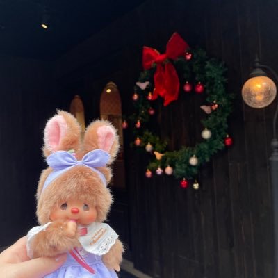 shigure_mk2fT's profile picture. 2025/6月にモンチッチファンになりました。今後このアカウントはほぼモン活メインになります🙇‍♀️名前も変えました。タヌタヌ推しです🌱他に好きなものはロリィタファッション、純喫茶巡りです。基本可愛いものが大好きです❤️
